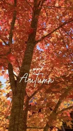 Autumn.