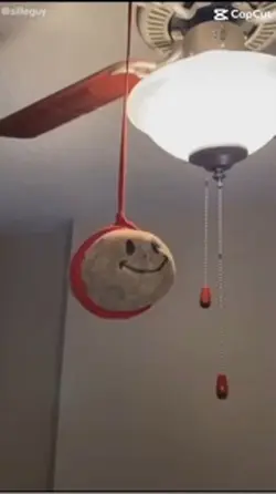 Potatoes memes