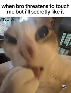 viewers pets! pt 1