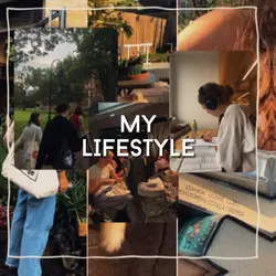 my lifestyle 