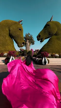 FlyingDressVDO