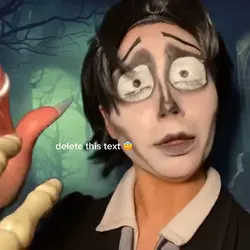 no 🐛