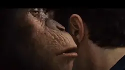 já me segue 