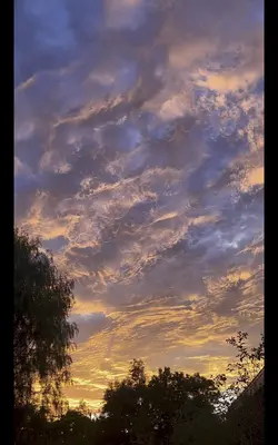 Algún día 