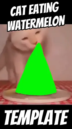 Watermelon Cat