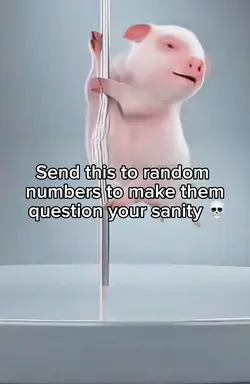 Pole pig