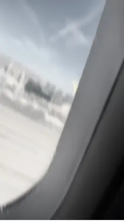 w flight