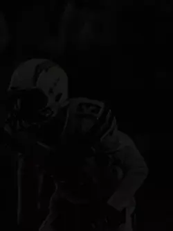 bears WR trio