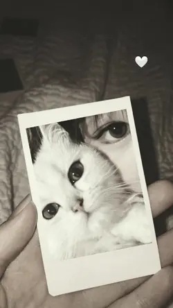 Girl e cat