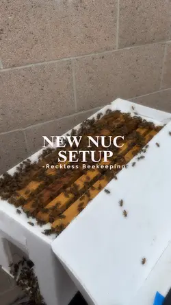 New NUC Setup 