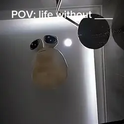 Potatoes