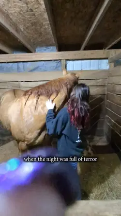 night we met