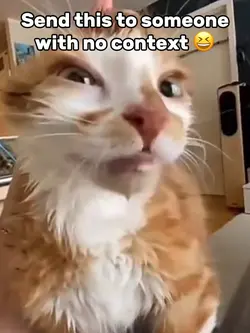 Geralddddd