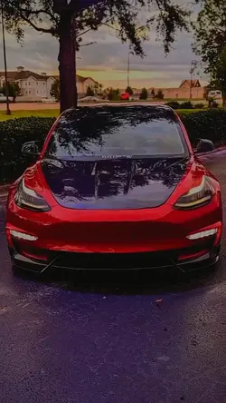tesla edit 
