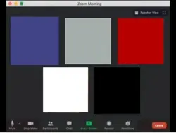 Zoom meetin be like