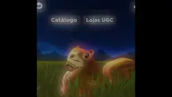 Esquilo vs dog 