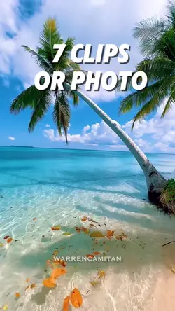 7 clips or photo 