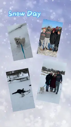 Snow Day