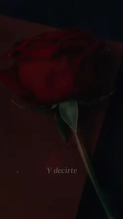 Te Amo Para Siempre 