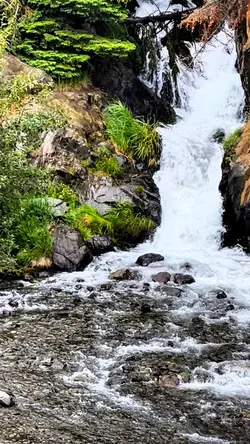 Nature🏞️