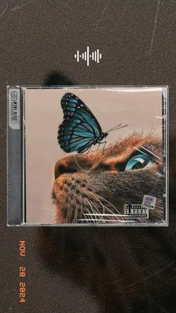 capa CD