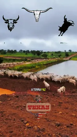 Agropecuária 