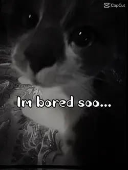 Im bored lol