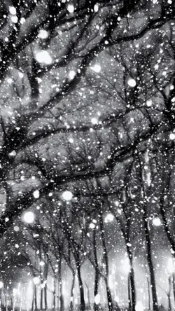 Snow day