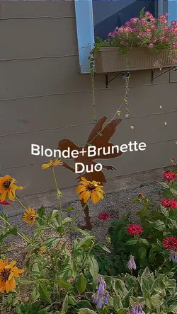 Blonde+Brunette BFFs