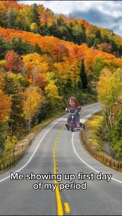 Bicycle chucky