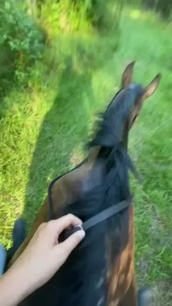 bareback slowmo👻