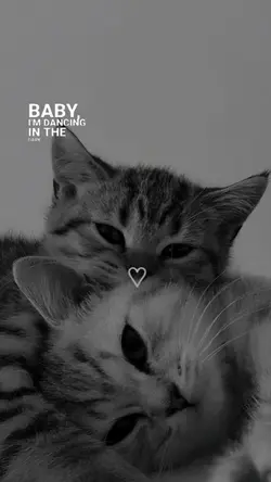 Ed Sheeran - Perfect