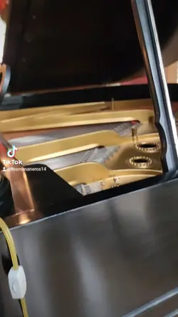 The piano Memories