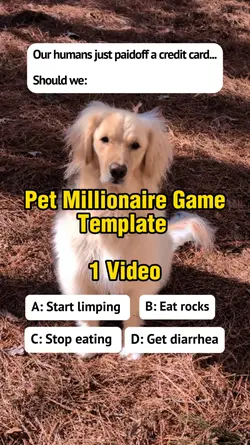 Pet Millionaire Game