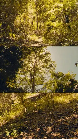 Natureza 