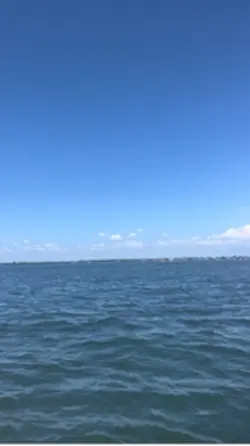 Snead Island