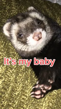 It’s my bab
