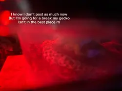 🩷