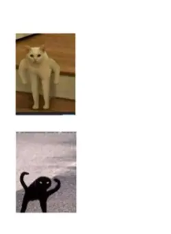 THE AUDACITY 