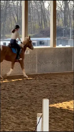 great lesson 