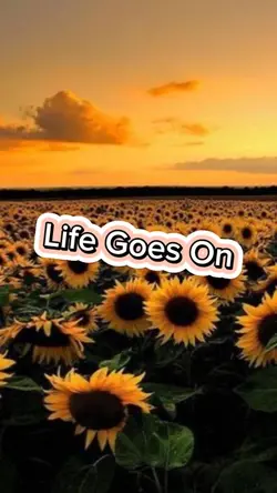 Life goes on 🌻