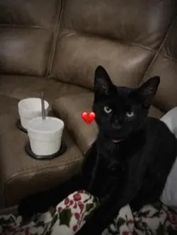 Goodbye my baby boy💔