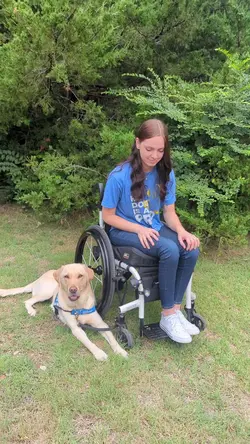 Wheelchair Transfer 