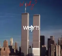 Why twin towers?