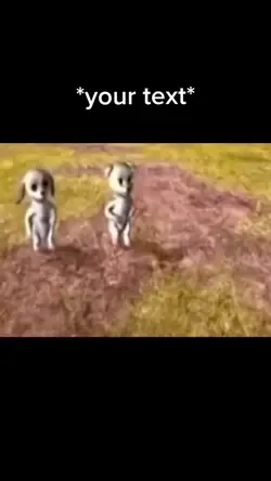 Bears dancing 