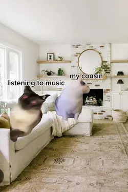 cat green sceen