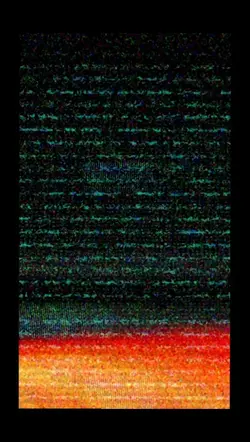 black transitions 