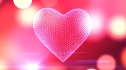 Amor
