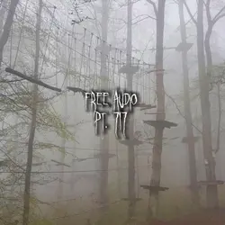 Free Audio Pt. 717