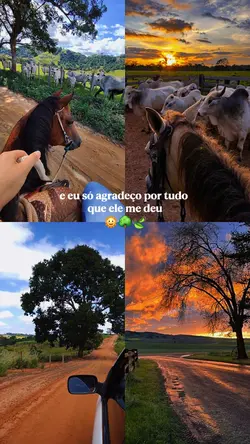ROÇA/INTERIOOR